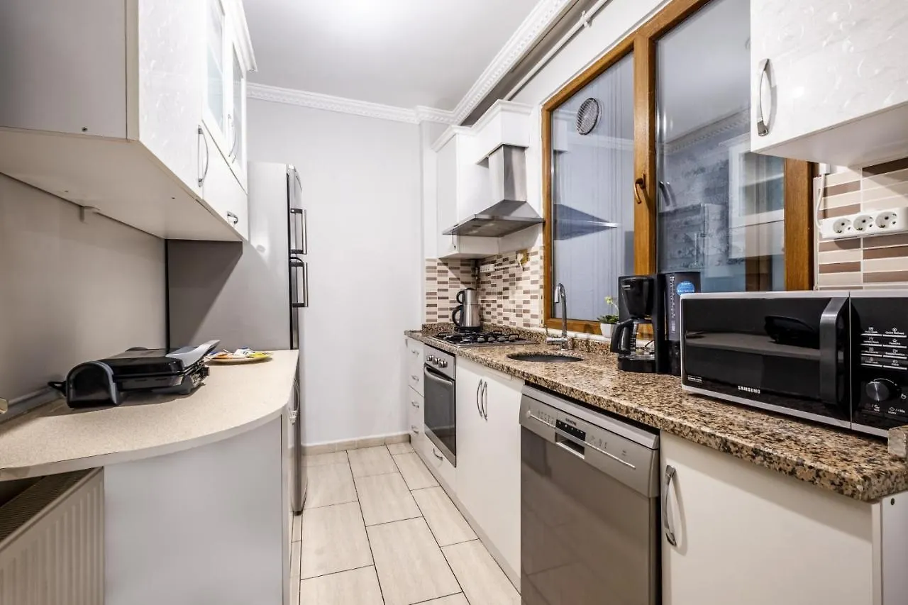 Central Flat Near Shopping Malls In Kagithane Provincia di Provincia di Istanbul Appartamento